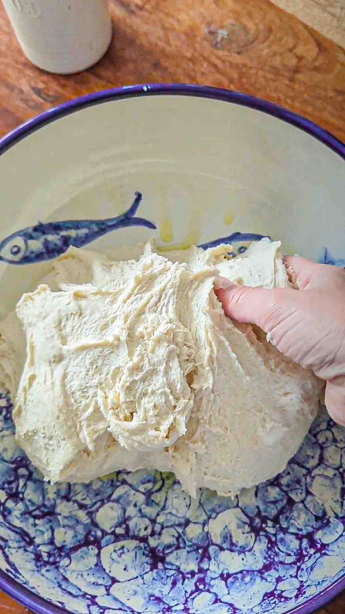 The bread dough just after kneading but before rising. It shows some gluten formation but is dense and compact.