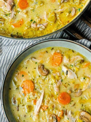 an overhead view of a bowl of chicken and leek soup that shows shredded chicken, carrots and mushrooms in a thick and creamy broth.