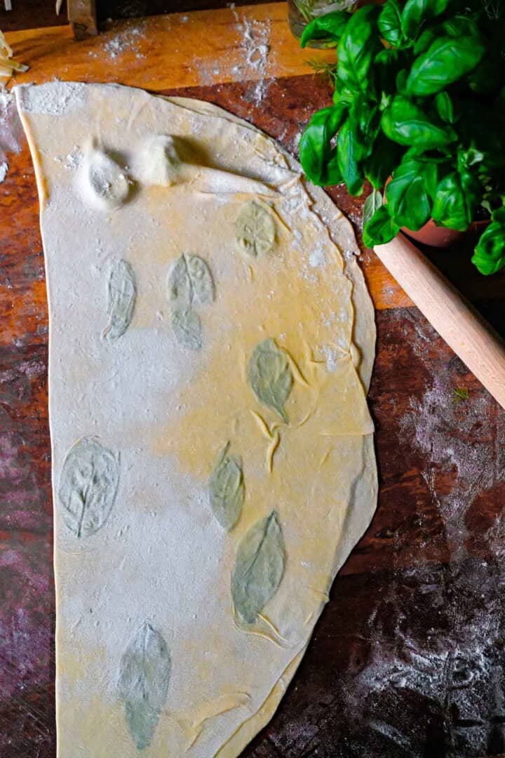 How to Make Pasta Dough: Ultimate Step-by-Step Guide - Cristina's Kitchen