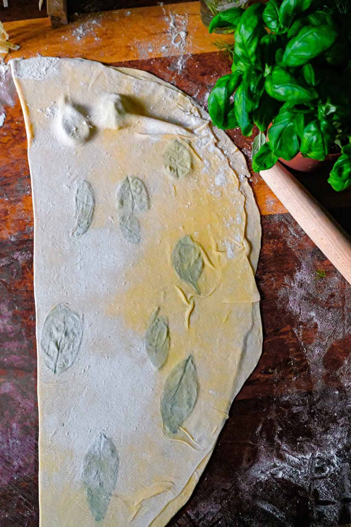 Pasta dough being rolled out with basil for lamination.