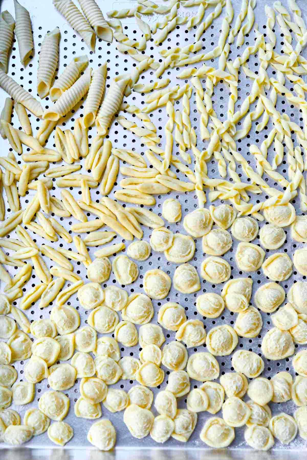 A tray full of short pasta shapes like garganelli, cavatelli, orechiette and fusilli al ferretto.