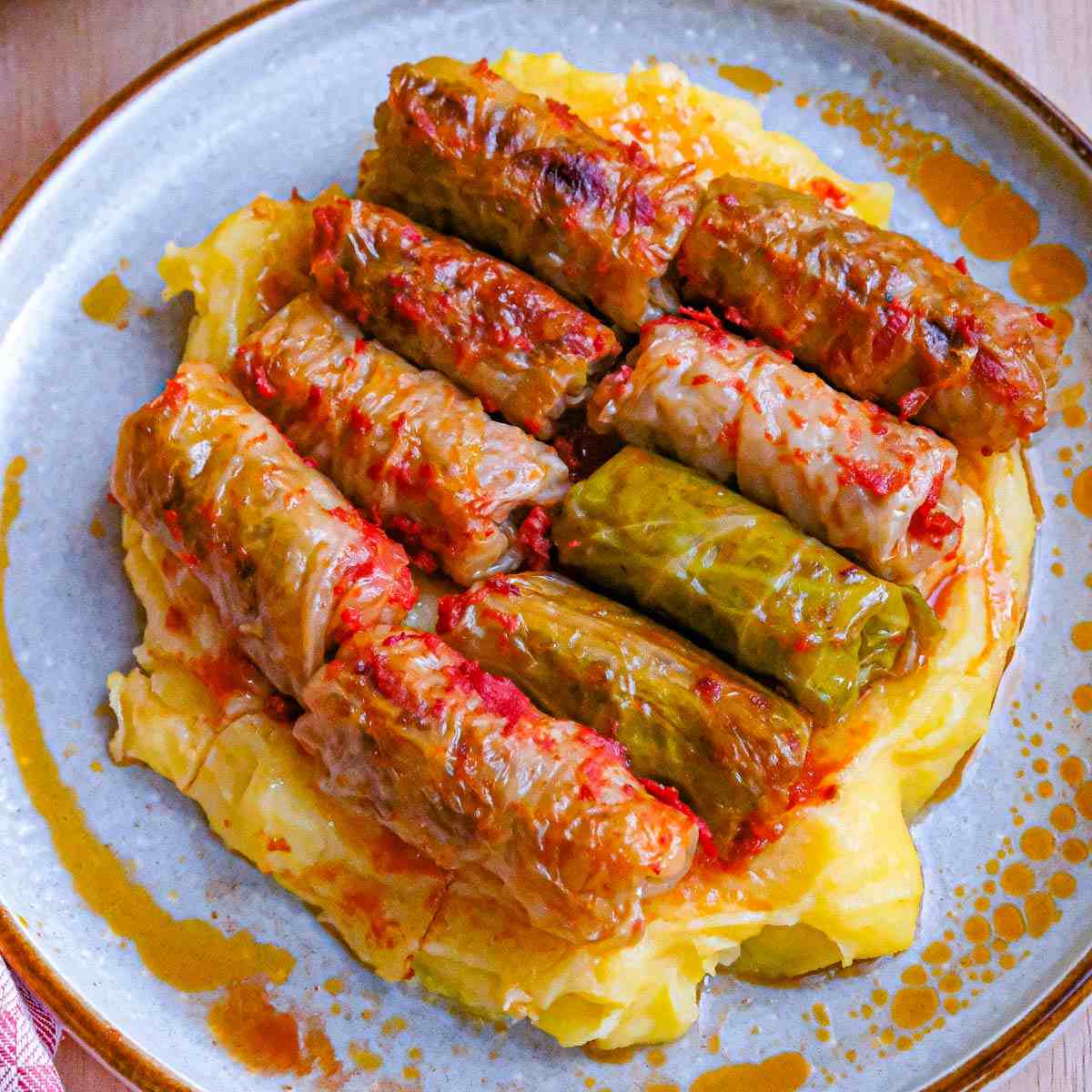 close up finished cabbage rolls square