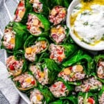 rainbow chard wraps close up