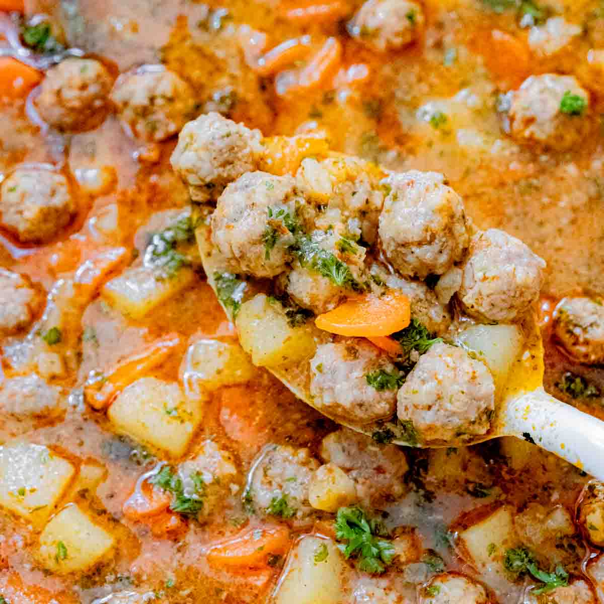 cover image Turkish meatball soup