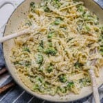 broccoli alfredo cover