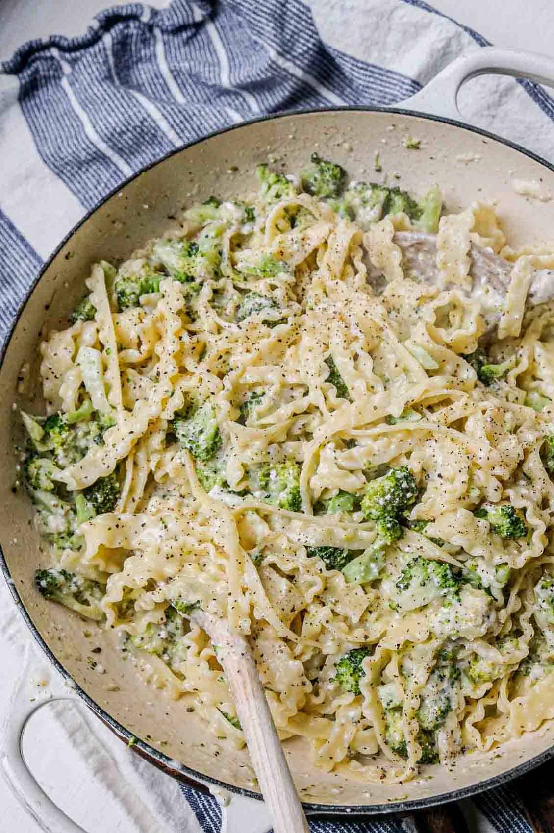 broccoli alfredo