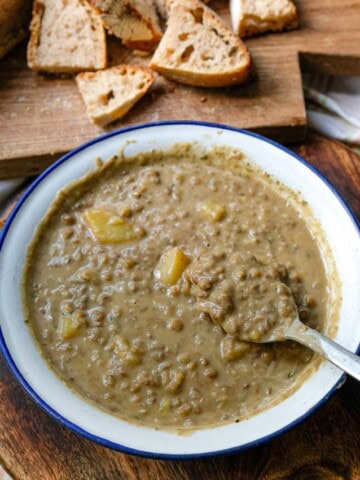 creamy lentil soup cover