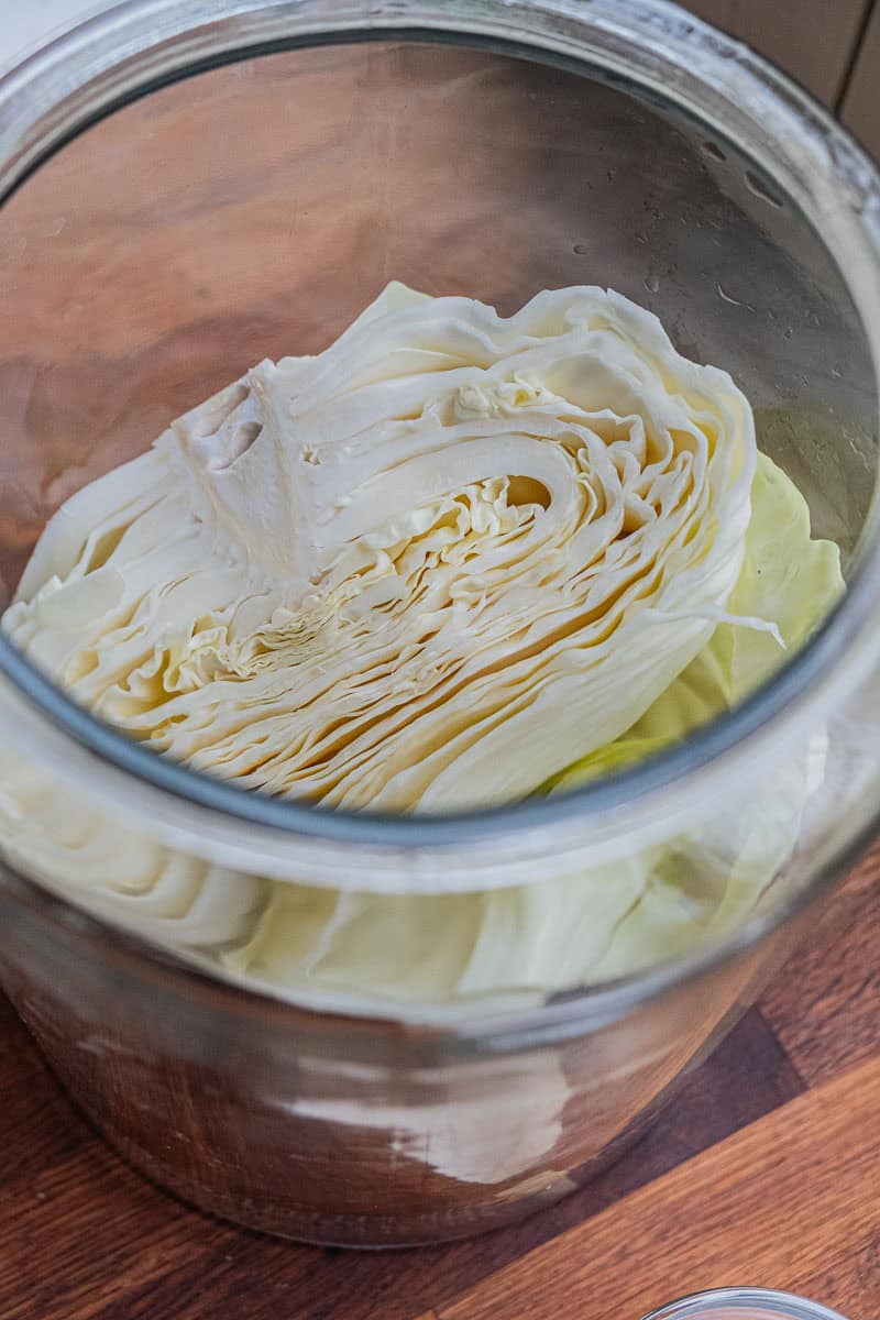 cut cabbage in jar