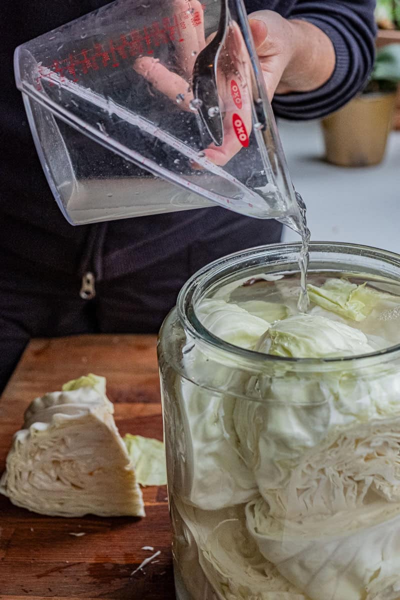 pouring brine over cabbage for sauerkraut