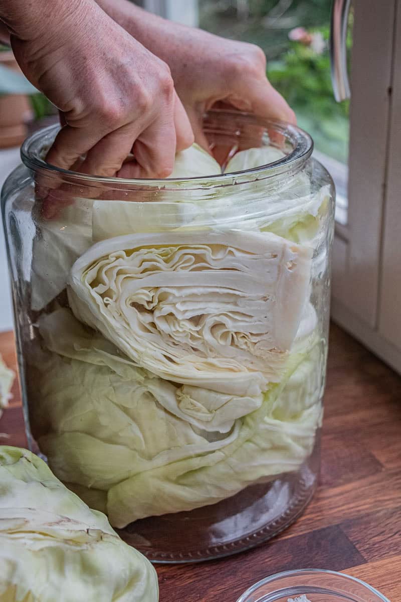 putting cabbage wedges in jar