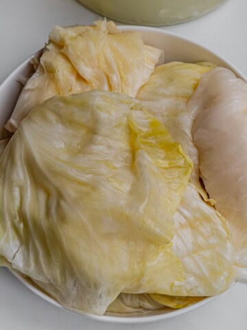 close up sauerkraut whole leaves for rolls
