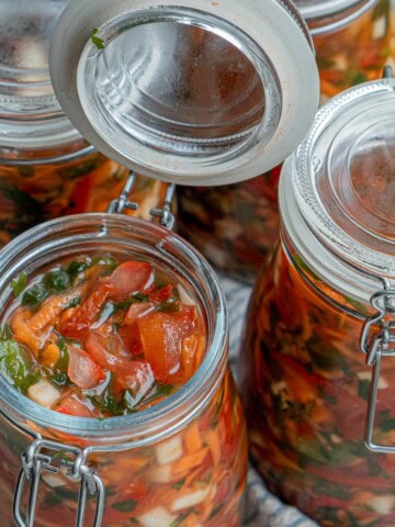 fermented soup base cover