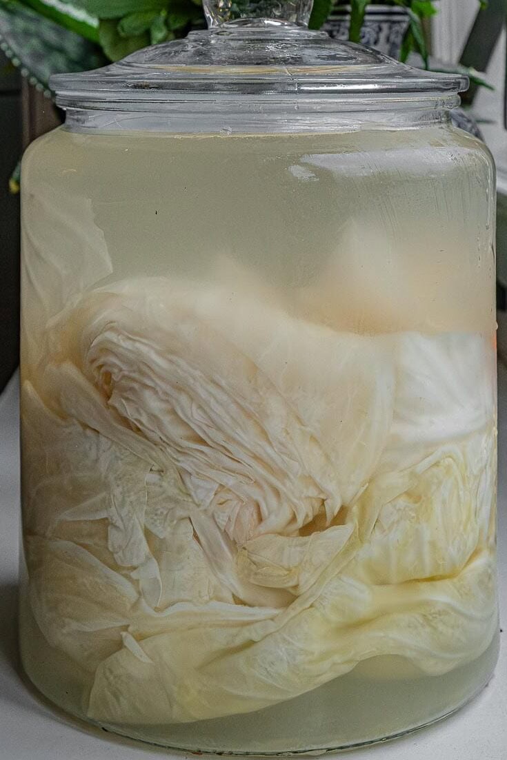 kraut in jar after fermentation