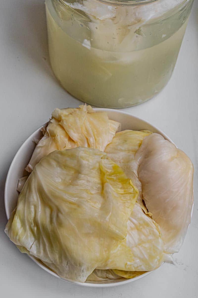 sauerkraut whole leaf